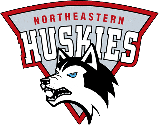 Northeastern Huskies 1992-2000 Primary Logo DIY iron on transfer (heat transfer)